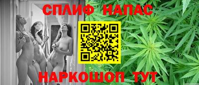 сатива Кулебаки
