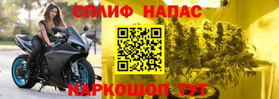 сатива Кулебаки