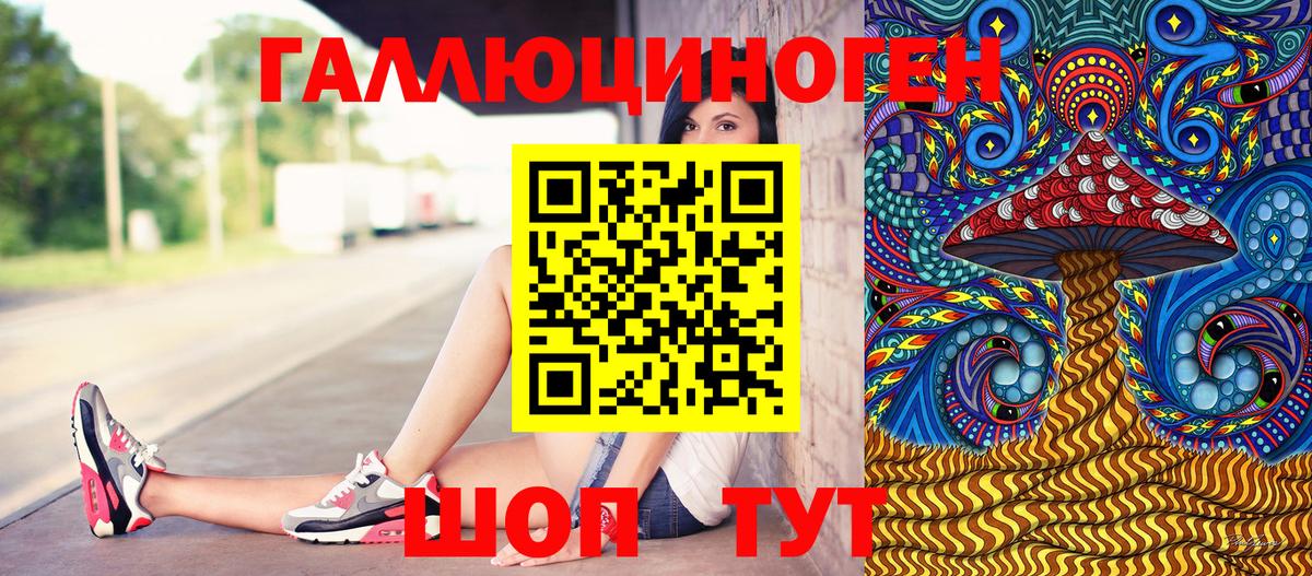 Галлюциногенные грибы Psilocybine cubensis Тимашёвск