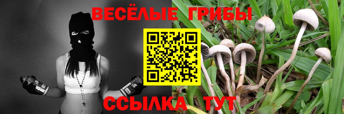 Псилоцибиновые грибы Psilocybine cubensis  Галлюциногенные грибы MAGIC MUSHROOMS  Тимашёвск  Вход с VPN 
